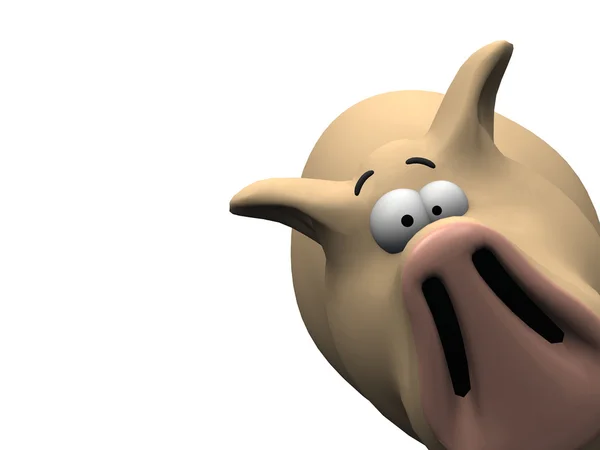 Śmieszna świnia — Zdjęcie stockowe