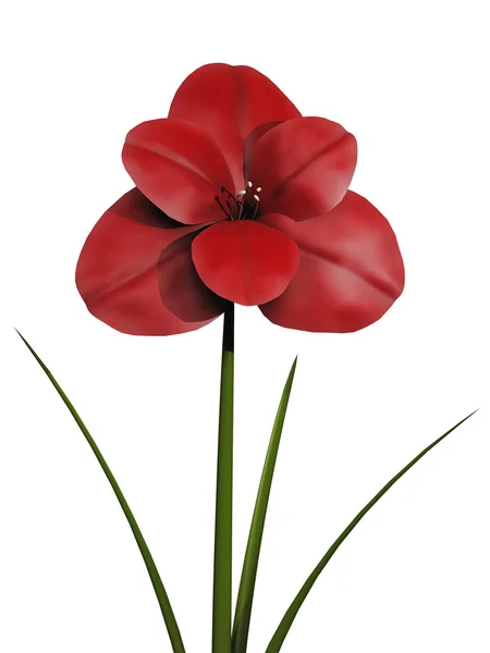 Floare roșie — Fotografie, imagine de stoc