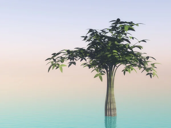 Pohon di atas air — Stok Foto