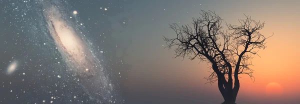 Baum am Himmel Hintergrund — Stockfoto