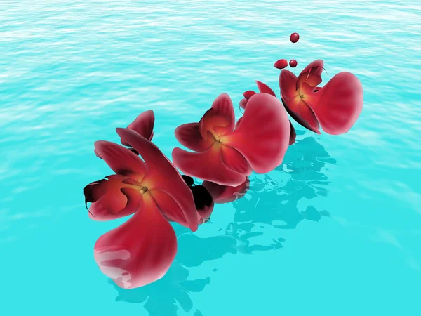 물 위에 꽃 — 스톡 사진