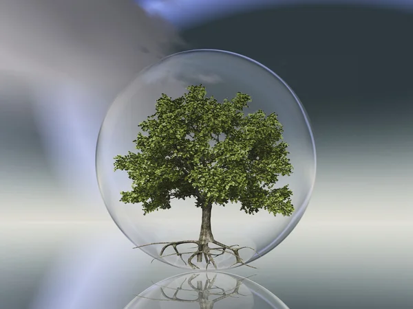 Şeffaf bir baloncuk içinde ağaç — Stok fotoğraf