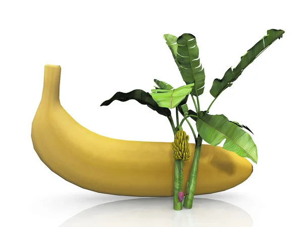 バナナの黄色のバナナのヤシ — ストック写真