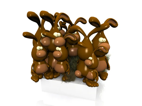 Choklad påsk kaniner — Stockfoto