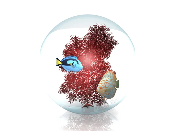 Рыбы и кораллы в пузыре — стоковое фото