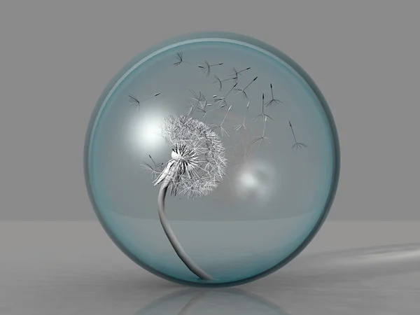 Paardebloem in de zeepbel — Stockfoto
