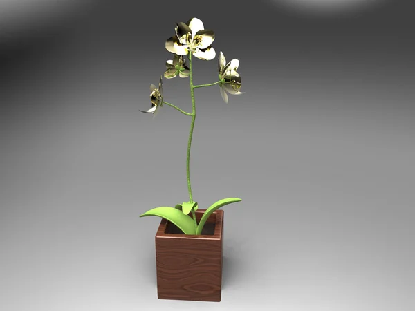 Орхидея в горшке — стоковое фото