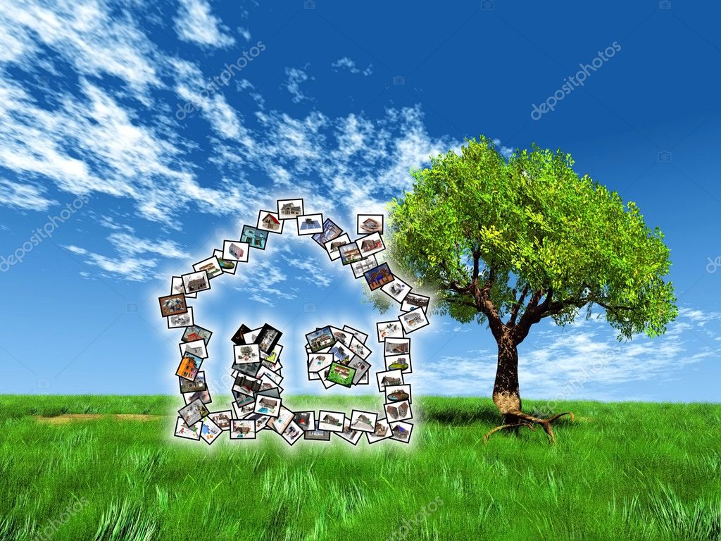 House pictures in the meadow