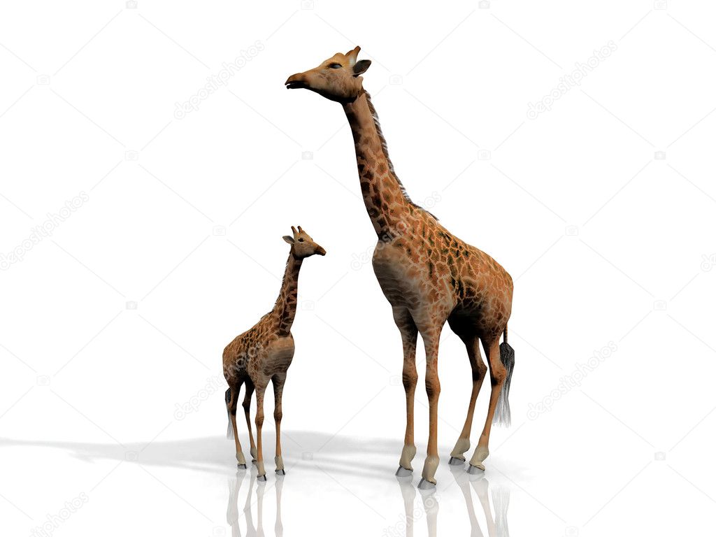 Giraffe mother and baby