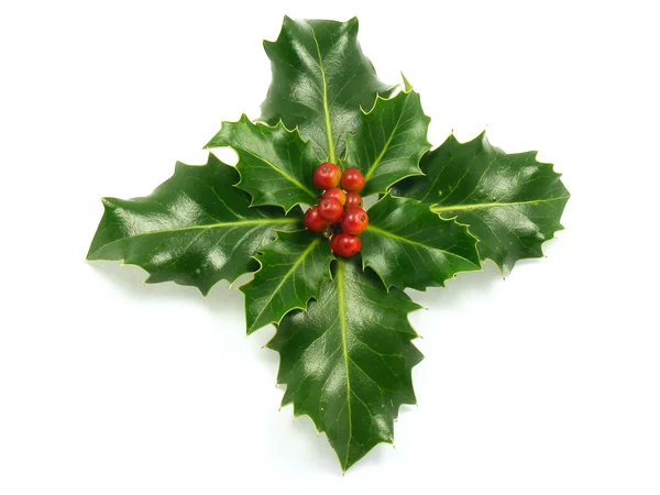 Holly with red berries Christmas decoration — Stock Photo, Image