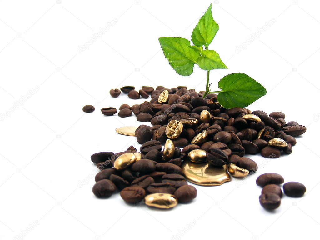 Roasted coffee beans with gold.....