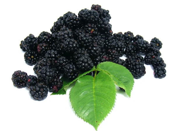 Freshly picked blackberries — Stock Photo, Image