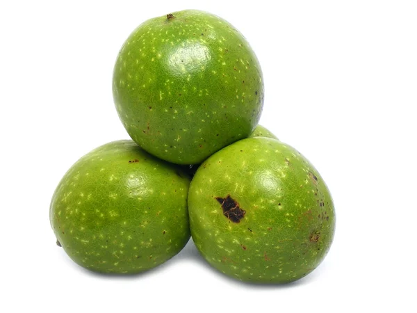 vahşi wallnuts