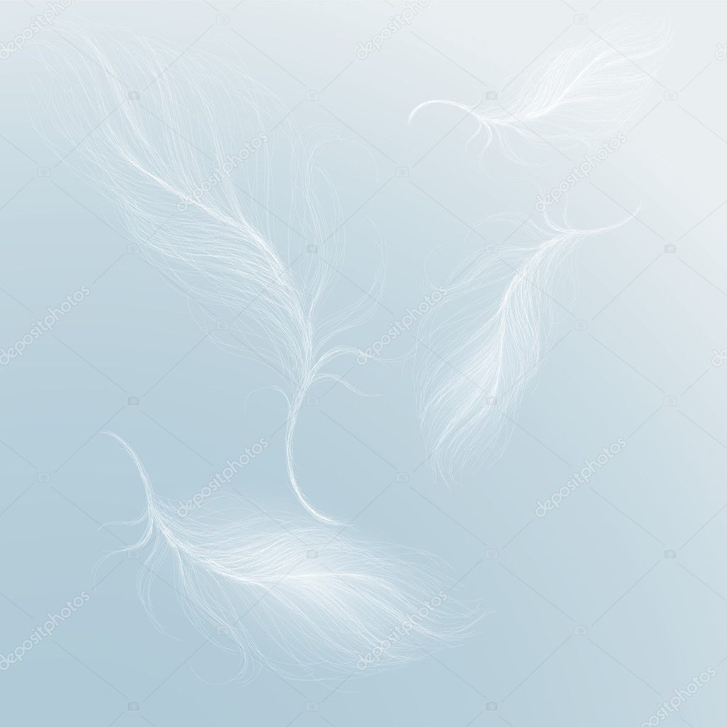 Feather on the sky