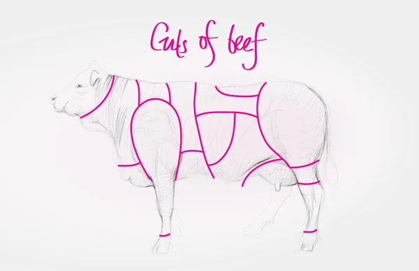 GC / Morceaux de viande bovine — Image vectorielle