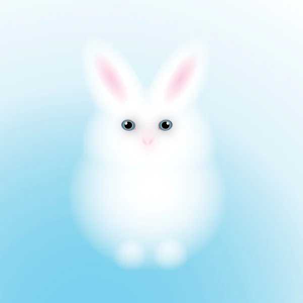 Conejo — Vector de stock
