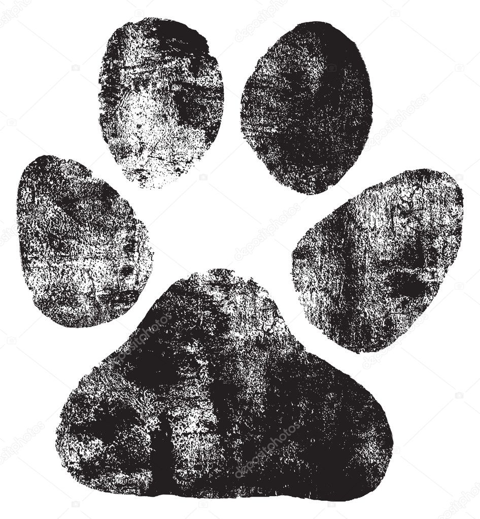 Dogs footprint