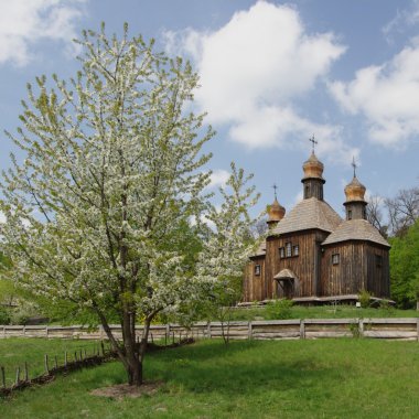 ahşap kilise çiçek açan bir ağaç