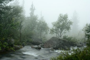 Water stream in the fog clipart