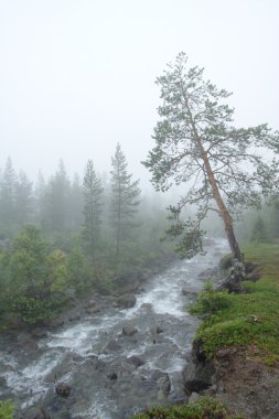 Tree and the stream clipart