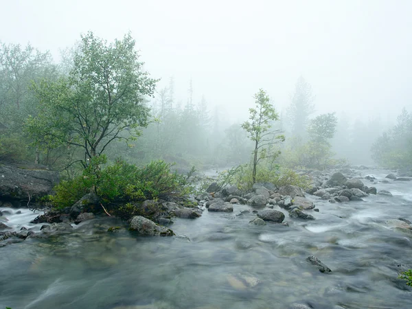 Wasserstrahl im Nebel — Stockfoto