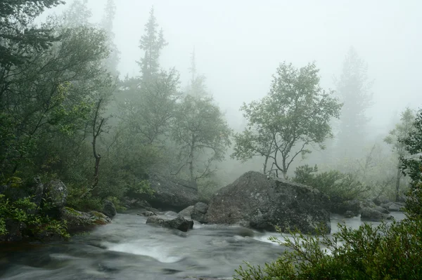Water stroom in de mist — Stockfoto