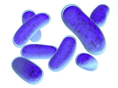 Bacteria clipart