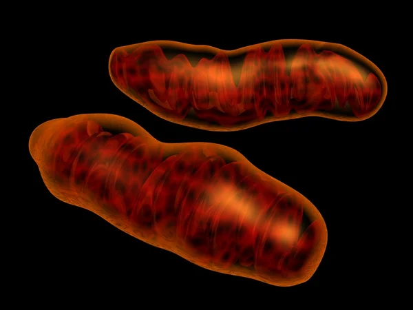 Mitochondria — Zdjęcie stockowe