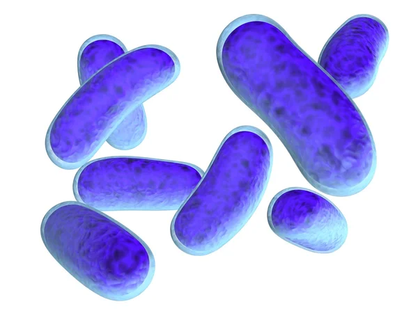 Βακτήρια — Φωτογραφία Αρχείου