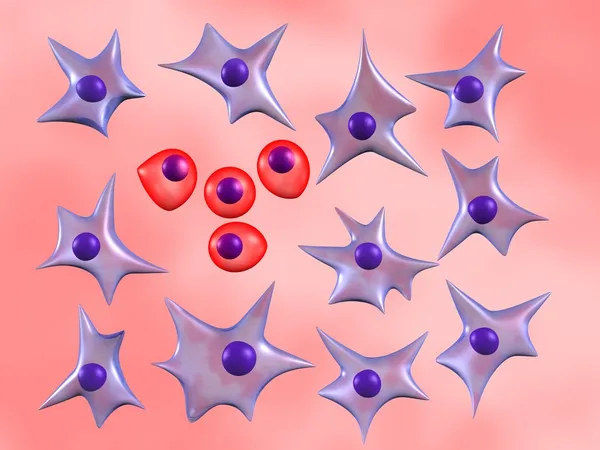 Komórki macierzyste — Zdjęcie stockowe
