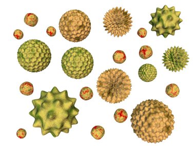 Pollen isolated clipart