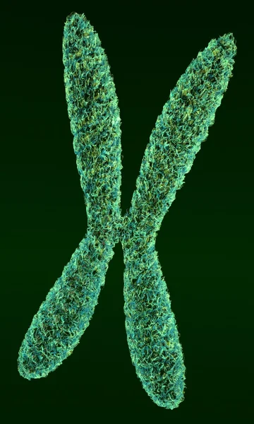 染色体体 — 图库照片
