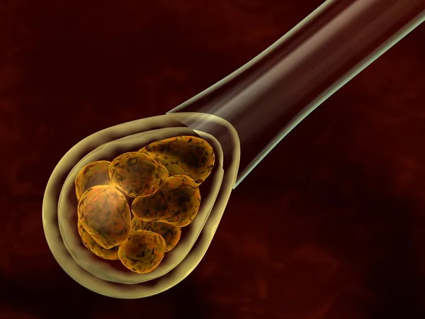 Embryo cell manipulation — Stock Photo, Image