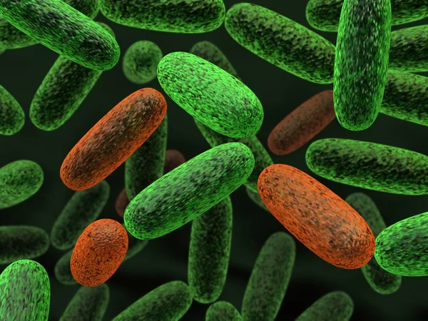 Бактерии — стоковое фото