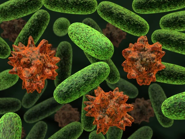 Transformierte Bakterien — Stockfoto