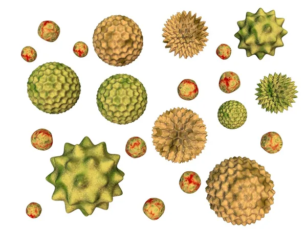 Pollen isolated — Stock Photo, Image