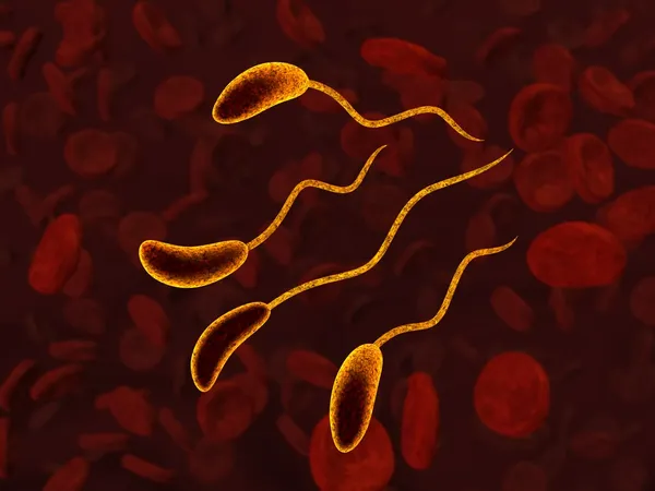 Бактерии в крови — стоковое фото