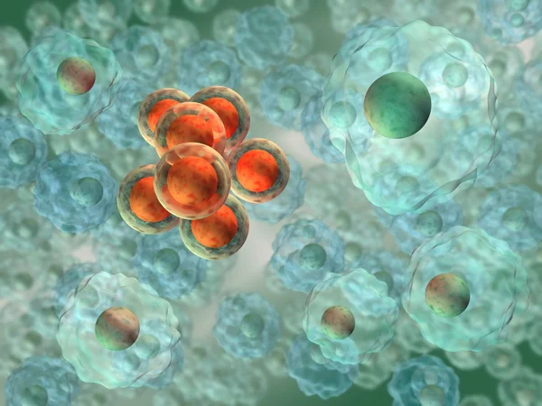 진 핵 세포 변형 — 스톡 사진