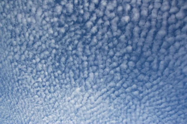 Altocumulus clouds — Stock Photo, Image