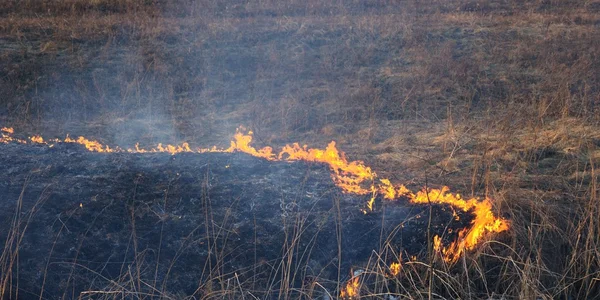 stock image Burning land