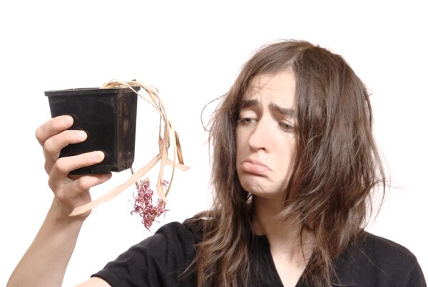 Несчастный садовник
