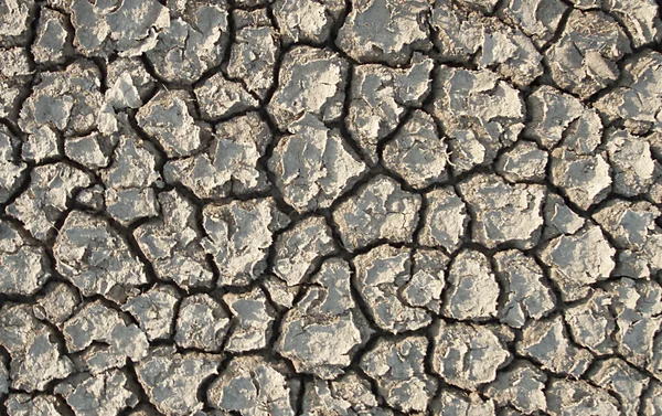 Tierras secas —  Fotos de Stock