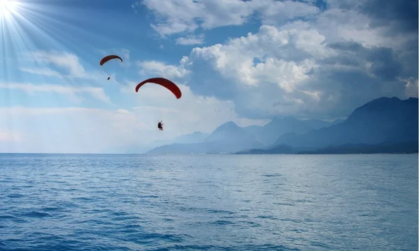 stock image Paragliding