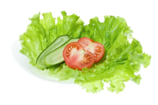 stock image Tomato, cucumber and lettuce