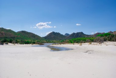 bidderosa oasis, Sardunya