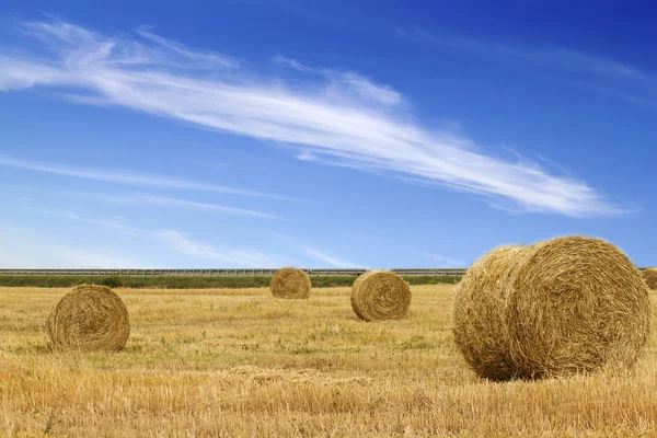 stock image Hay prepared dry autumn