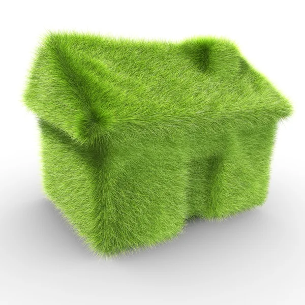 Erba verde casa — Foto Stock