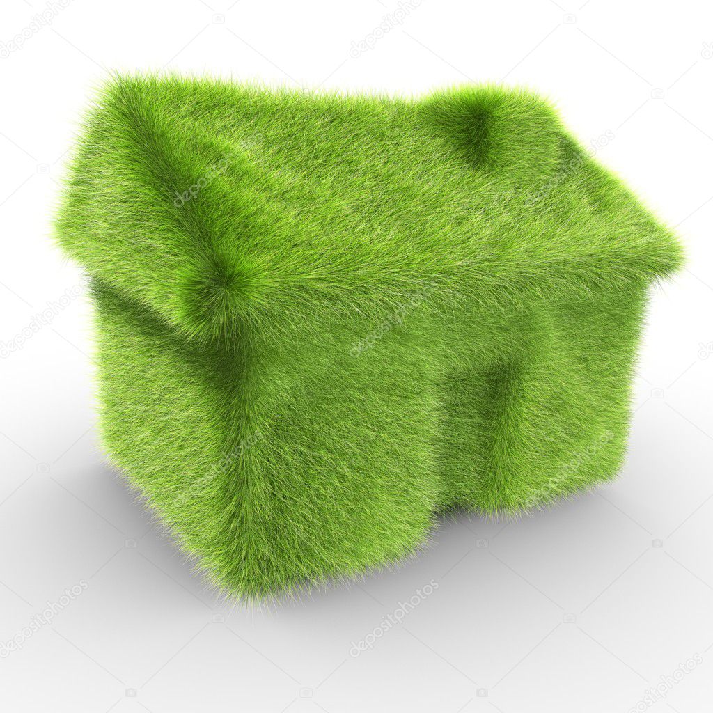 Green grass house