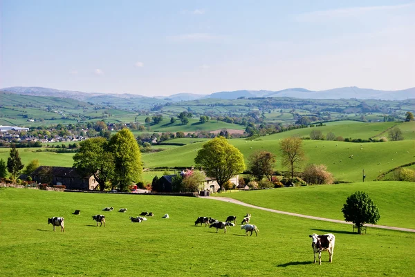 English field in Spring — Stock Photo, Image
