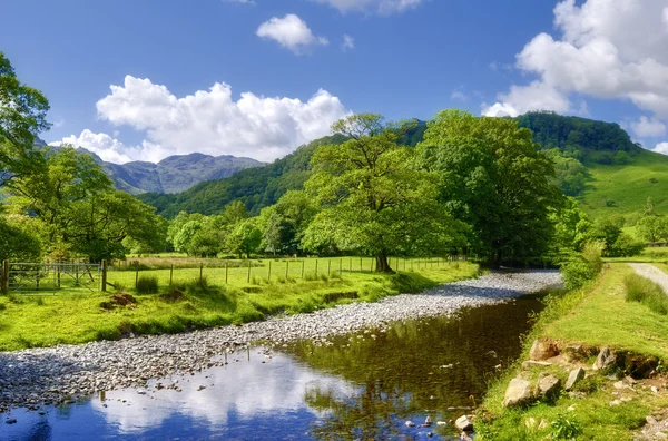 Countryside river — Stock Photo, Image